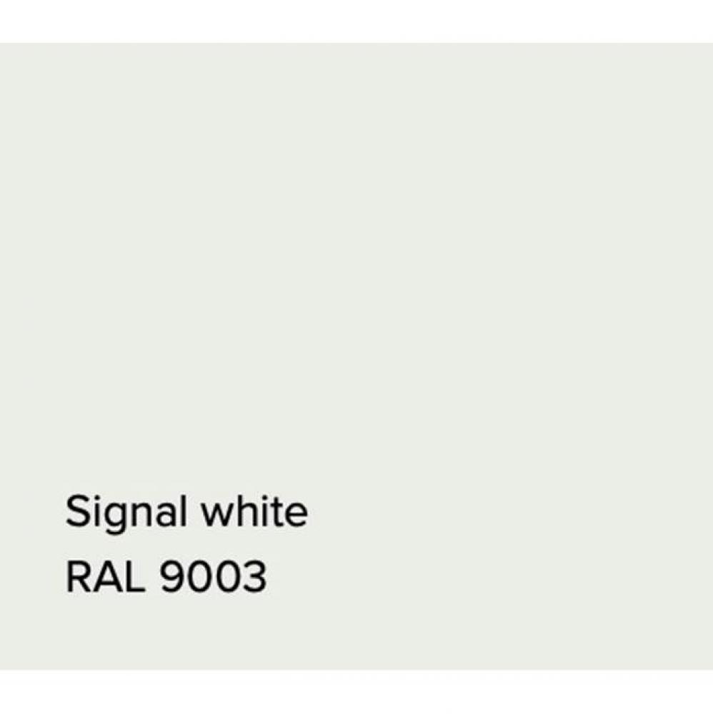 RAL Bathtub Signal White Matte