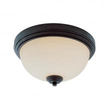 Z-Lite 314F2-BRZ - 2 Light Flush