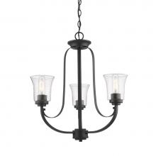 Z-Lite 461-3BRZ - 3 Light