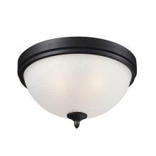 Z-Lite 603F2 - 2 Light Flush