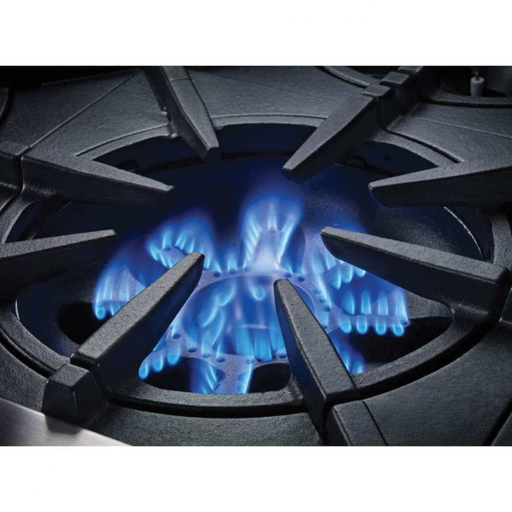 24'' Platinum Range Top - (4) Burners