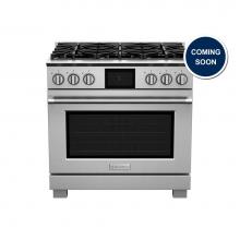 BlueStar BSDF366BLC - 36'' Dual Fuel Range (6) Burners