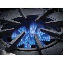 BlueStar BSPRT244BL - 24'' Platinum Range Top - (4) Burners